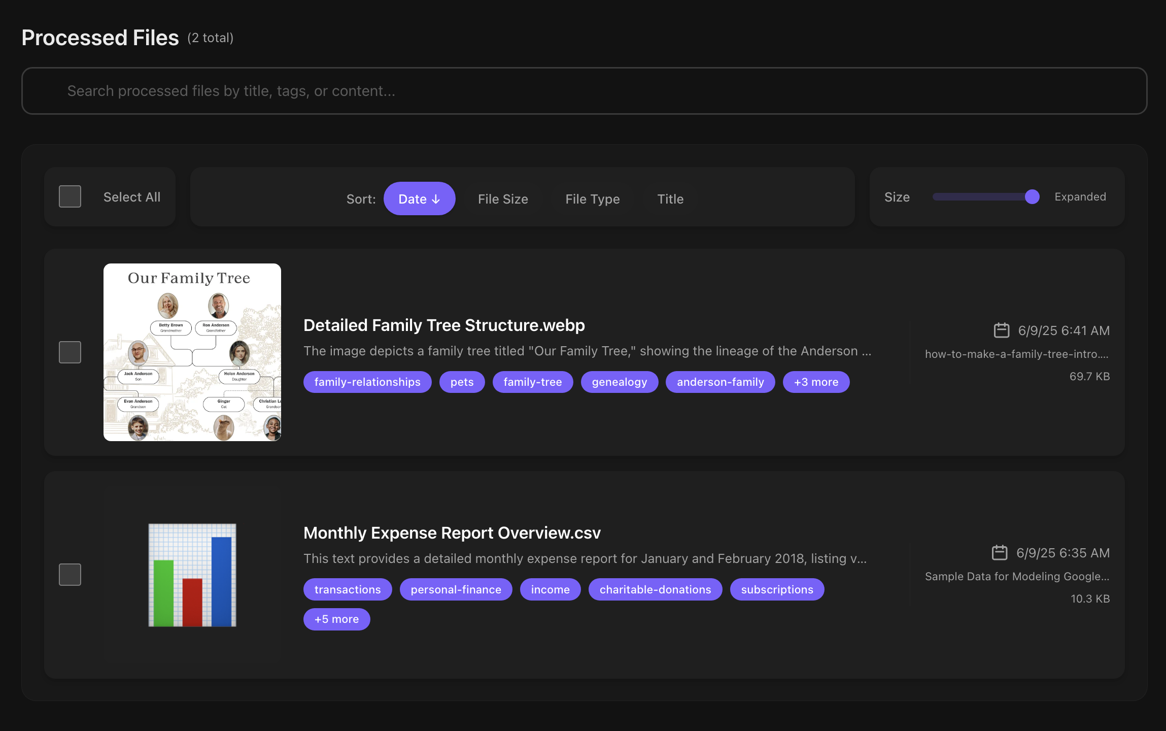 AI Analysis Interface